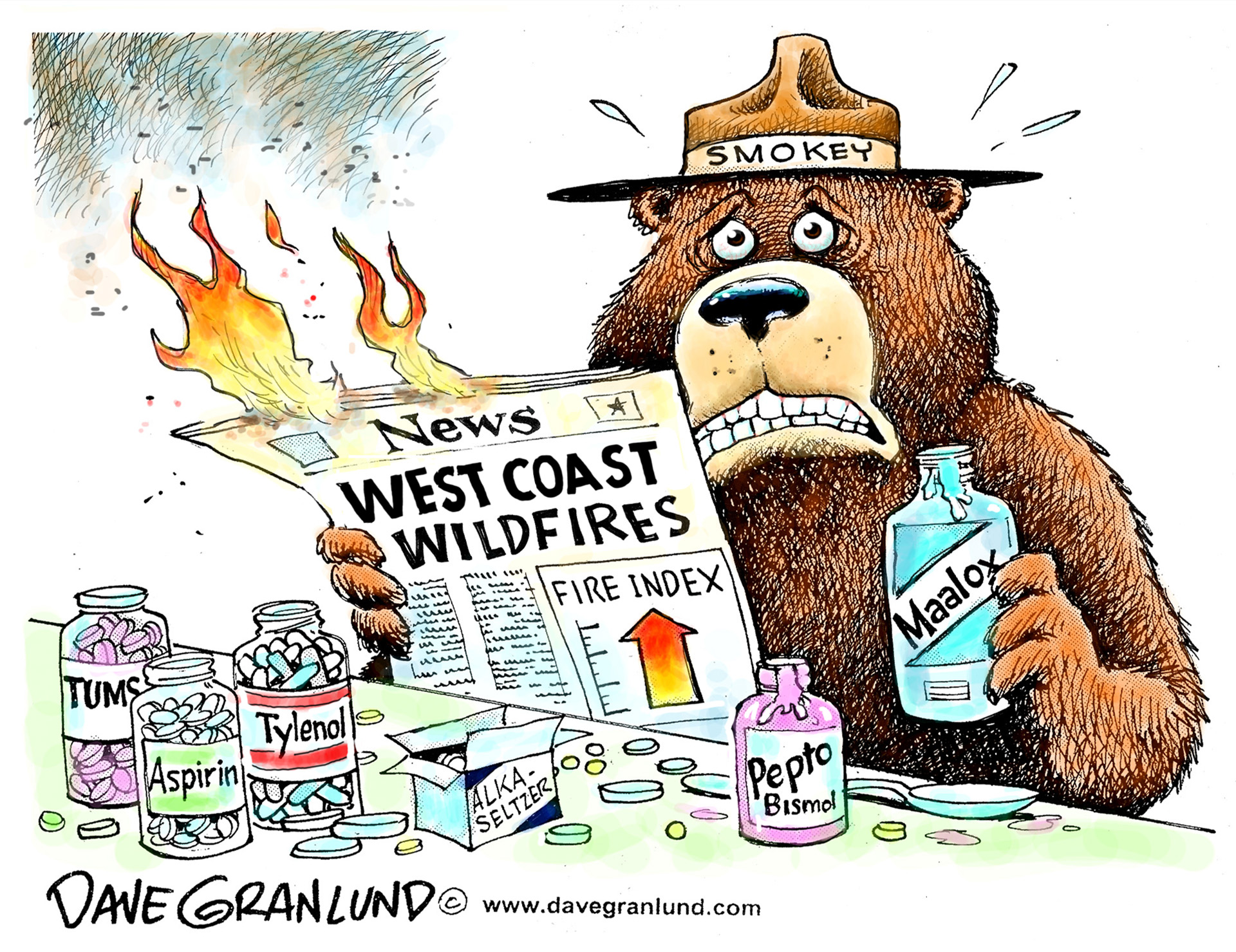 political carton by Dave Granlund depicating Smokey the Bear reading a newspaper about the West Coast Wildfires, clearly stressed consuming maalox, pepto bismol, pain killers, and tums.