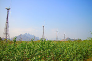 Wind farm in the Indian province of Kerala. Adobe Photos