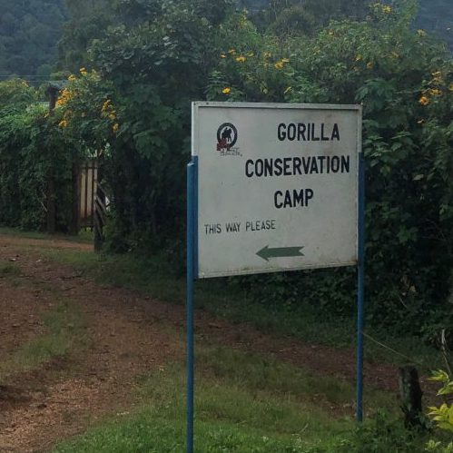 CTPH Gorilla Conservation Camp Sign