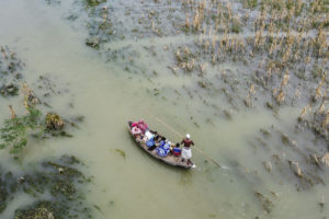 Farmlands submerged in flood water, Bangladesh. Adobe Photos