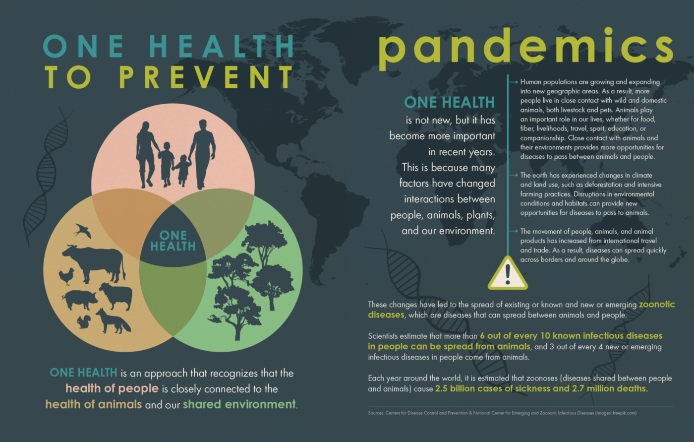 infographic depicting the concept of one health. Defines One Health as an approach that recognizews that the health of people is closely connected to the health of animals and our shared environment.