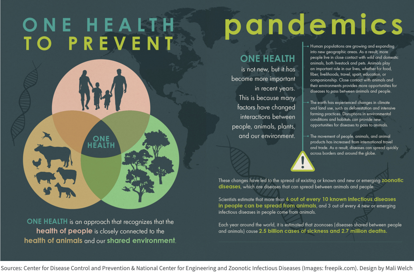 One Health Pandemics, RGB version