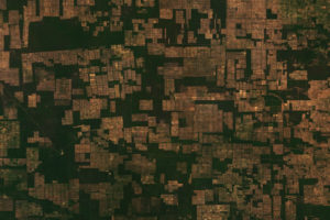 Aerial Deforestation in Paraguay