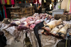 Animal parts for sale at an Asian market