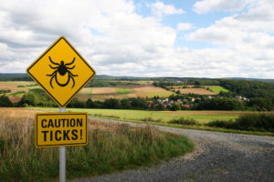 Warning sign for ticks outside of a rural suburb, USA.