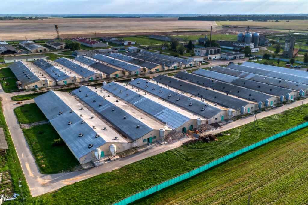 Large Livestock Farm, USA. Aerial view. Adobe Photos