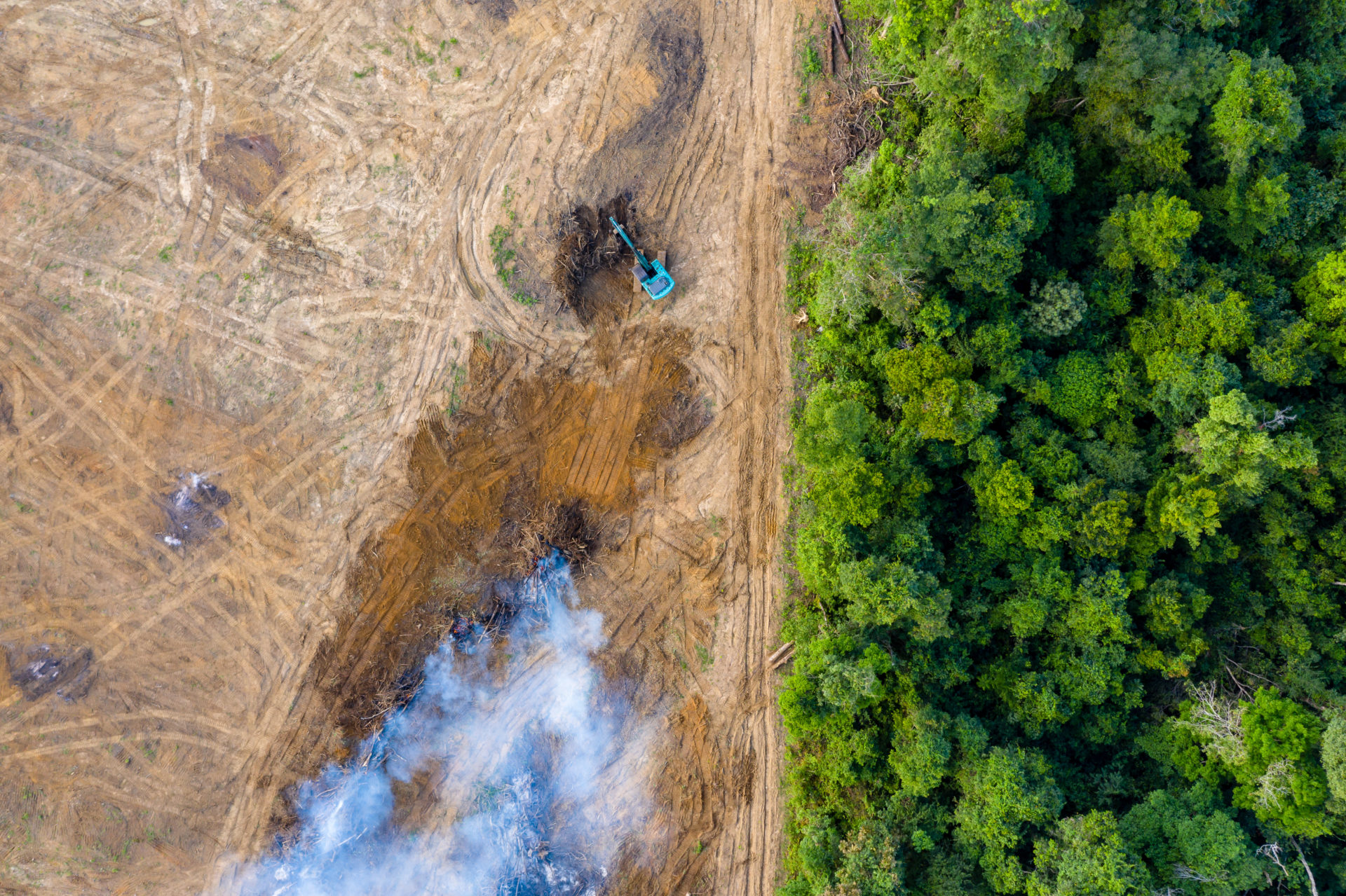 Aerial View Of Deforestation. Rainforest Being Removed To Make Way For Palm Oil And Rubber Plantations. Adobe Photos