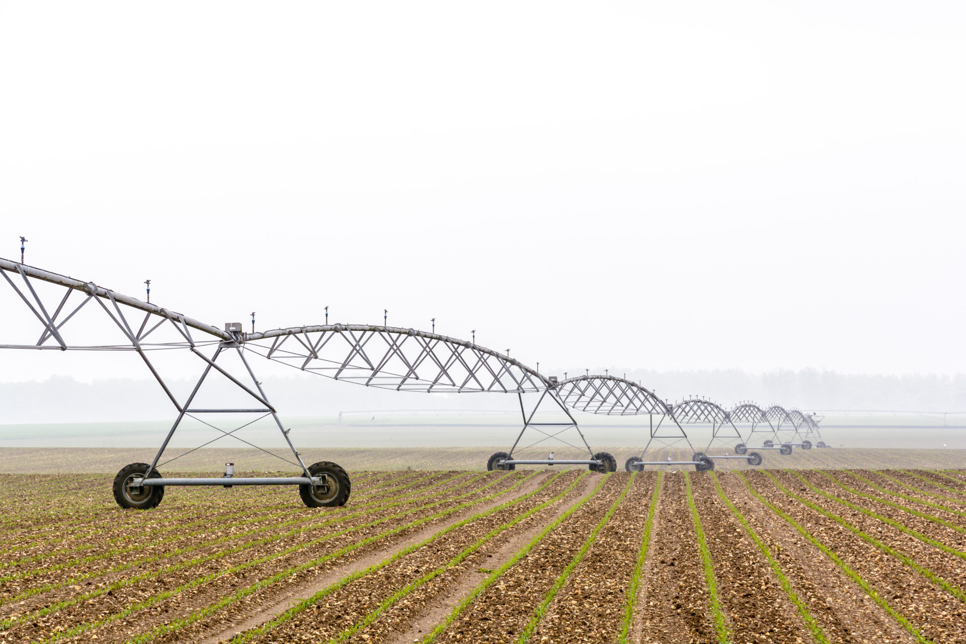Center Pivot Irrigation System In a Corn Field, French Countryside.