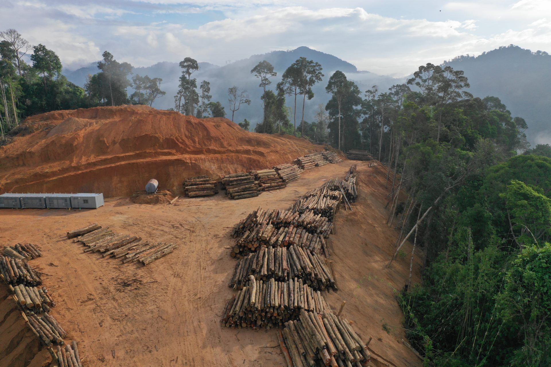 Logging. Aerial Drone View of Deforestation in Malaysia