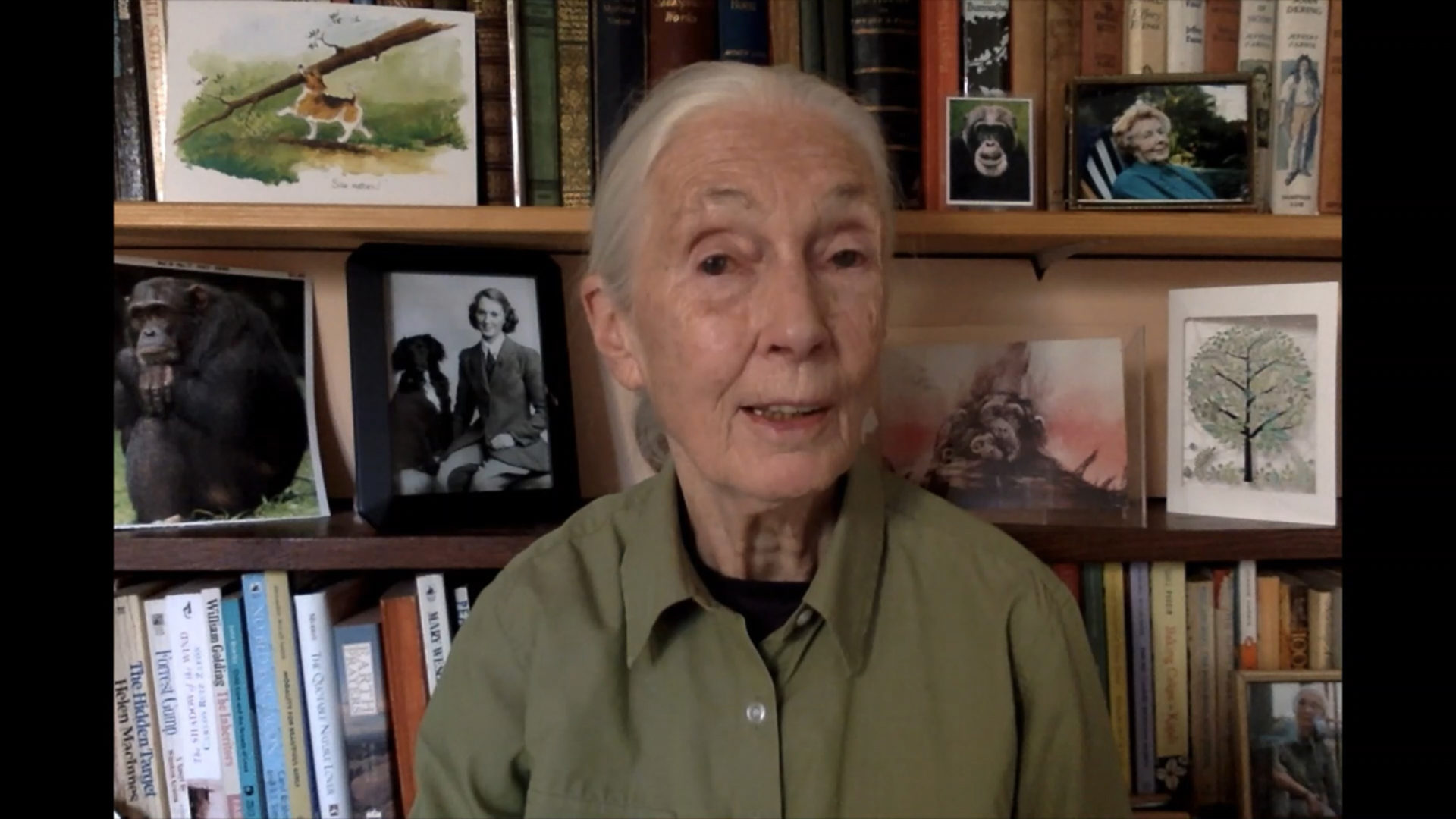 Screenshot of Jane Goodall on Zoom