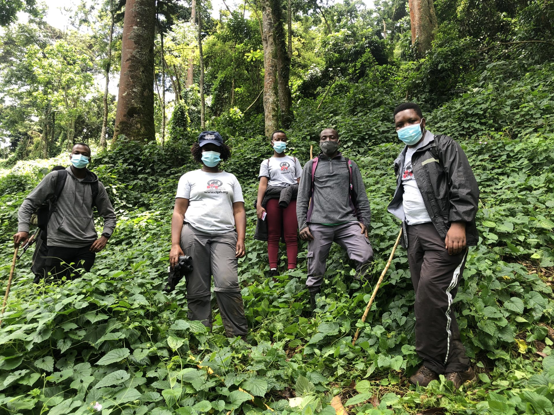 CTPH team monitoring Mubare Gorilla group in September 2020