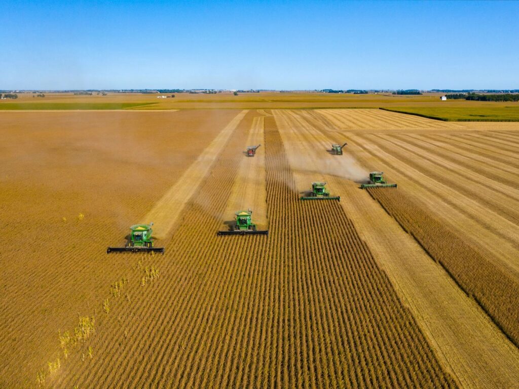 Crop harvest