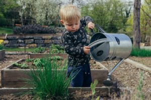Child watering community garden