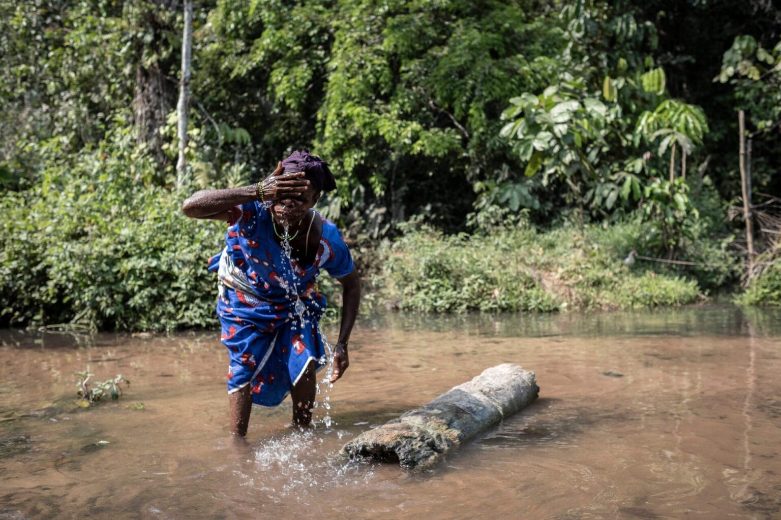 The Disappearing “Lungs Of Africa”: Deforestation In The Congo Basin ...