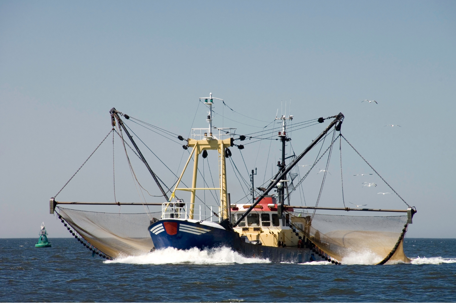 World Oceans Day: Four ways we are harming marine life