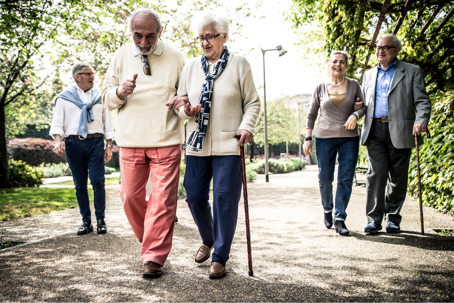 Студенты пожилым людям. Пожилые люди. Прогулка пожилых людей. Пешие прогулки пожилых. Пенсионеры на прогулке.