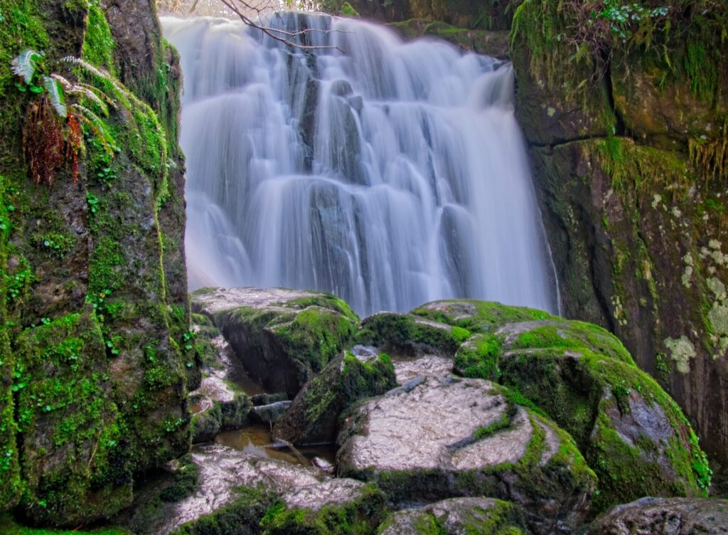 Sweet Creek Falls.