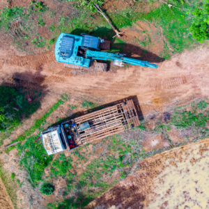 Deforestation / resource depletion