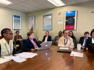 UN DESA DHS side event