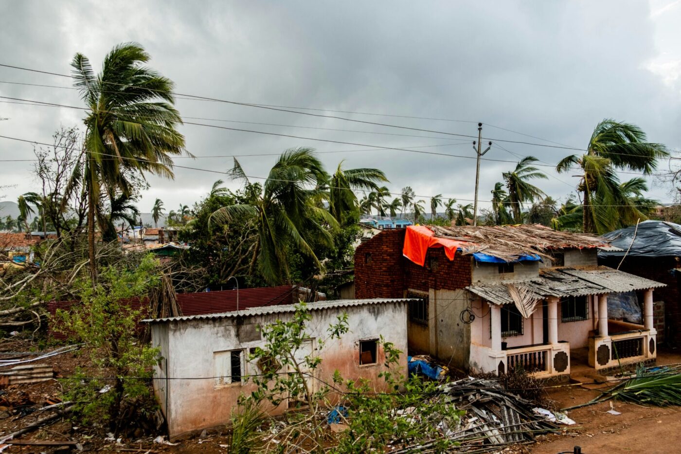 Ten Ways Population Growth Impacts the Environment