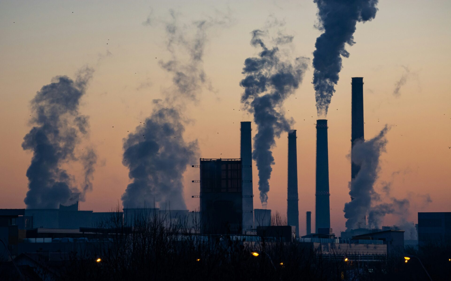 Ten Ways Population Growth Impacts the Environment