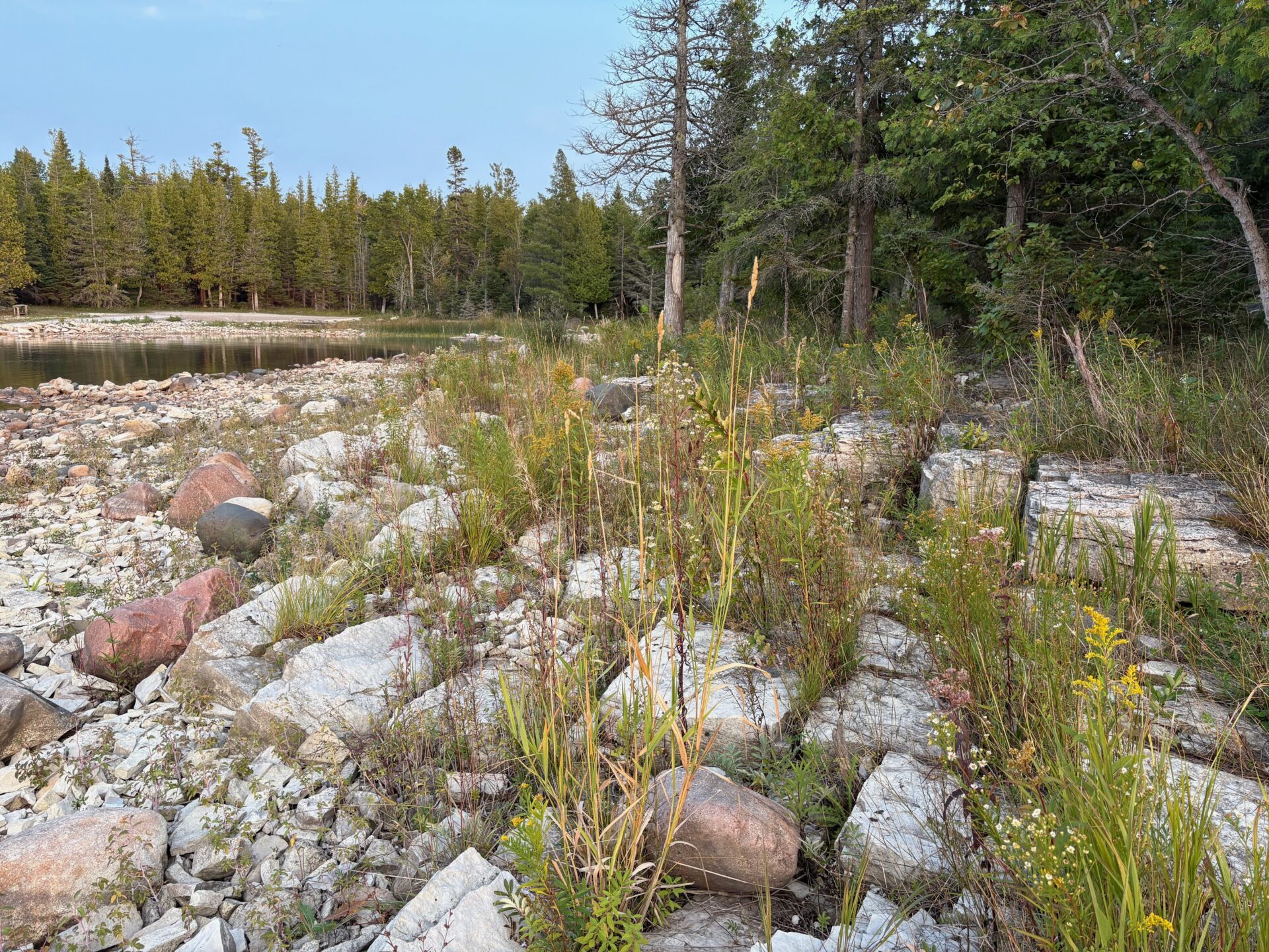 Natural beauty of the rocky inlet on Drummond Island in the Upper Peninsula of Michigan. Submitted by: Catherine Knoop