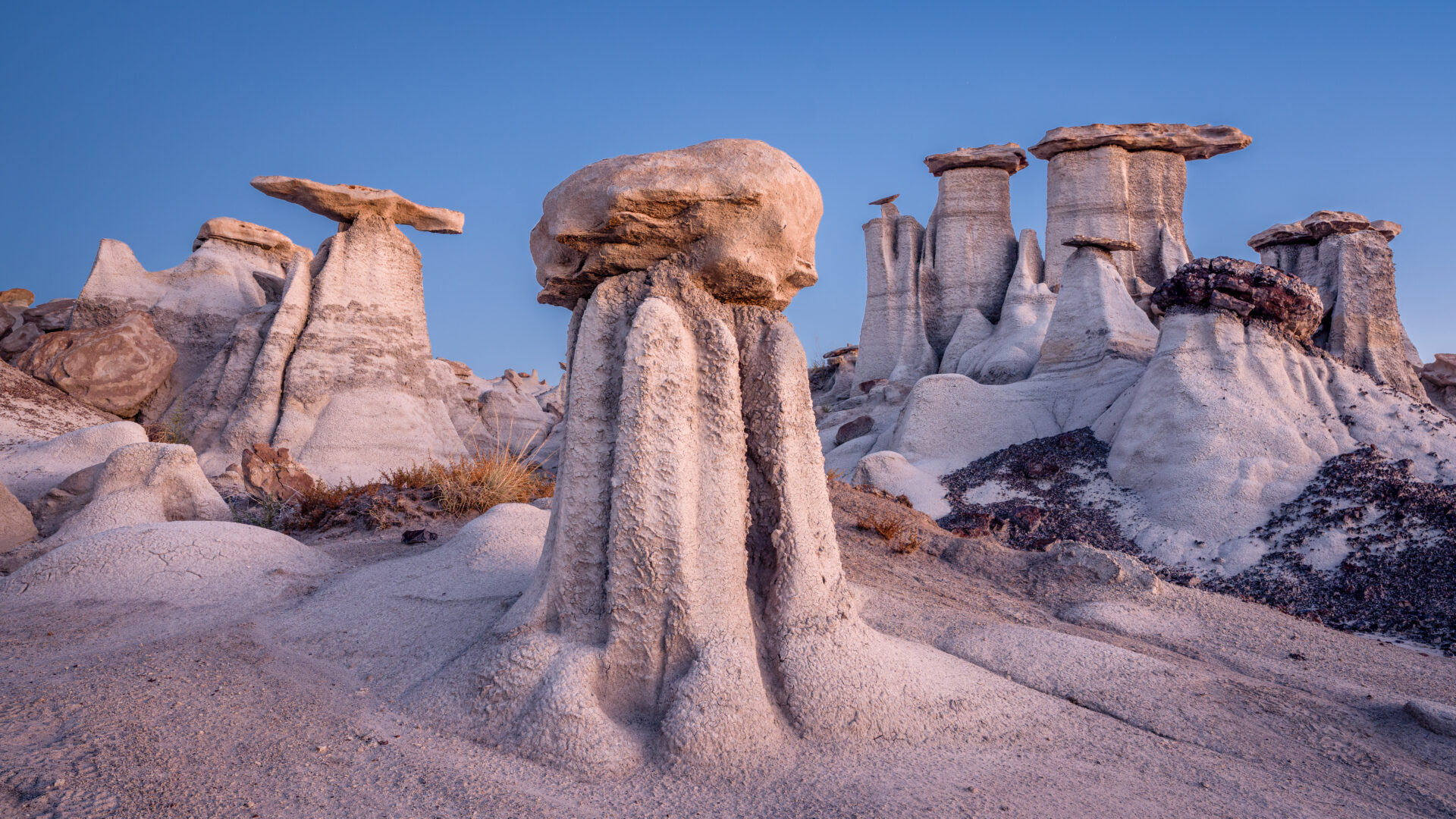 Hoodoo formations at the Bisti/De-Na-Zin Wilderness in New Mexico. Submitted by: David Newswanger