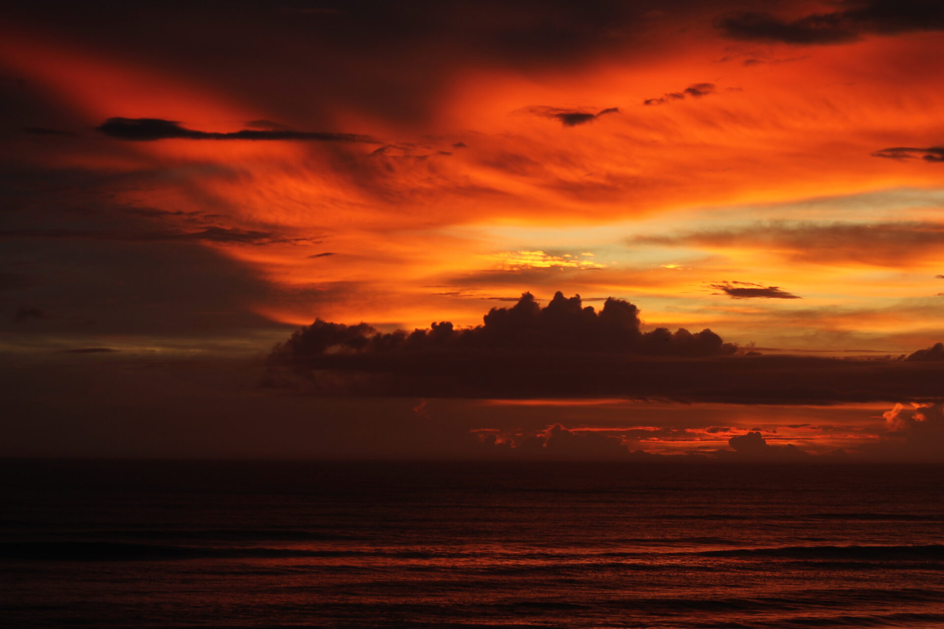 Clouds colored by sunrise over the Atlantic Ocean in the Outer Banks, North Carolina. Submitted by: Edward Bielaus