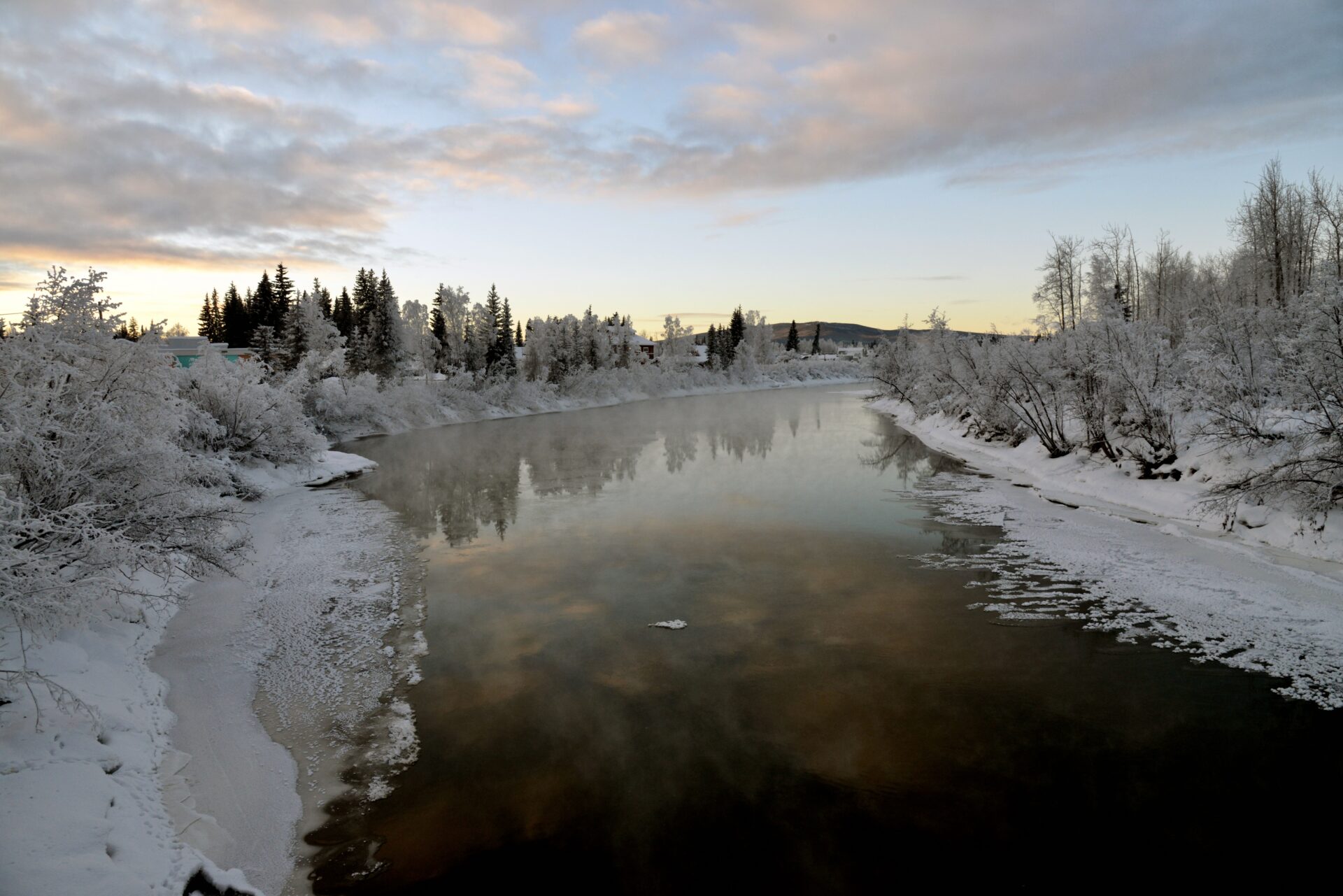 This photo was taken during a winter walk along the Chena River. Warm water from the power plant keeps sections of the river open even during the long, cold interior Alaska winters. Ducks, who would normally have migrated south, now overwinter in the river. Submitted by: Jeanie Cole