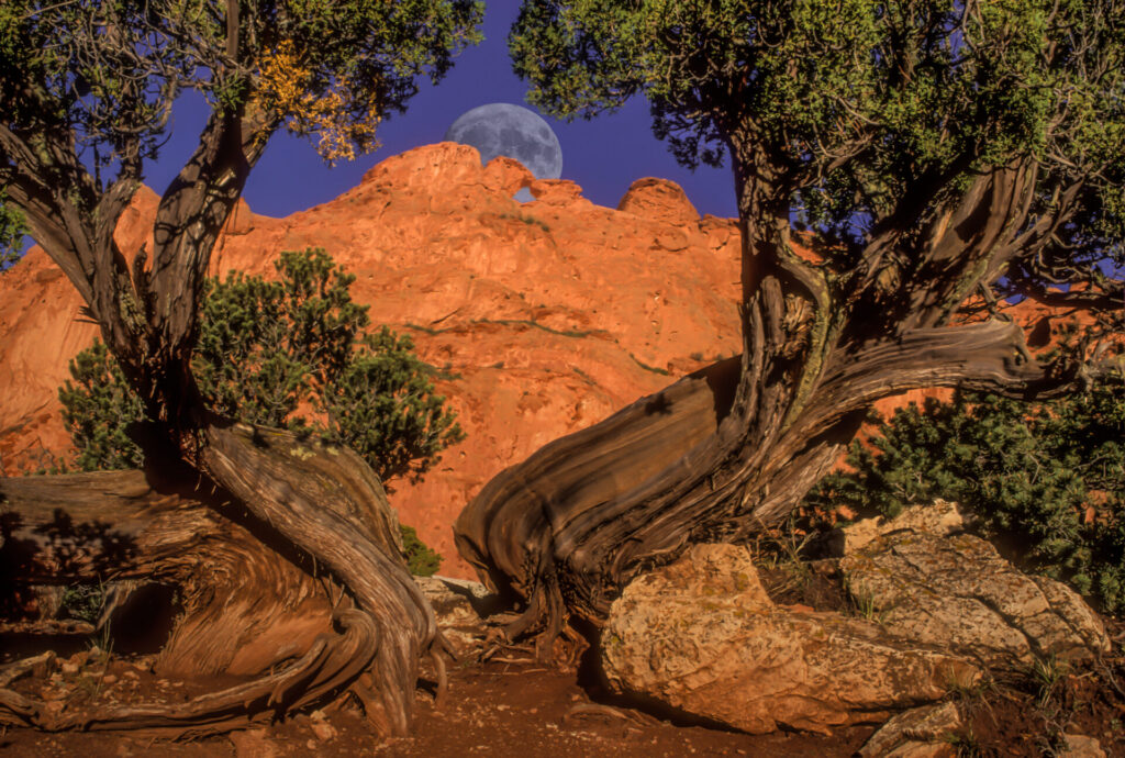 Moon setting behind red rocks in the early morning at the Garden of the Gods park in Colorado Springs. Submitted by: Karl Leck