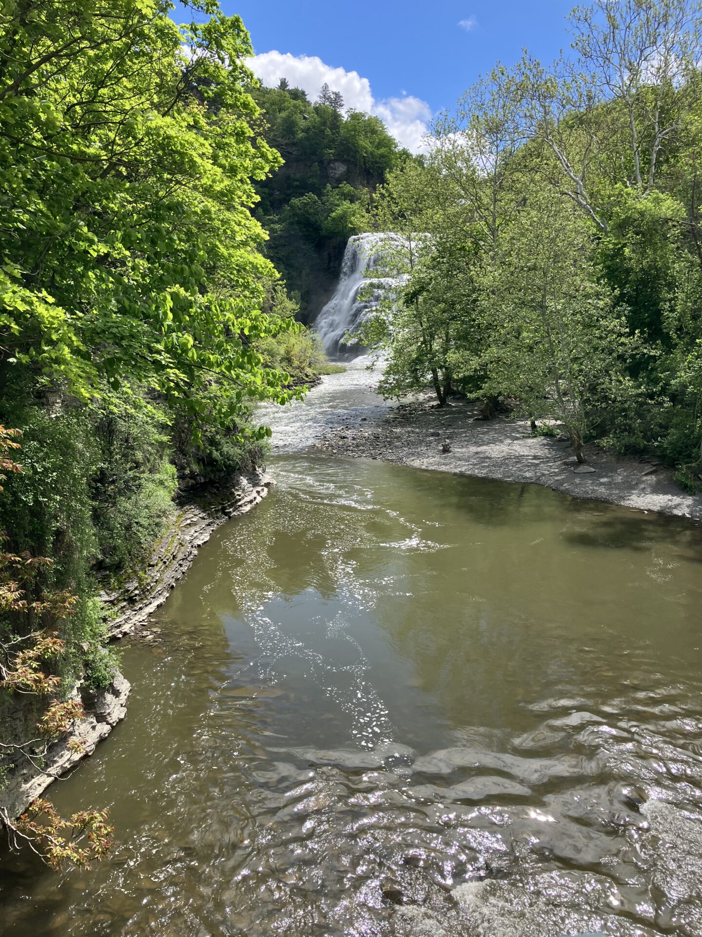 View of Ithaca Falls from Lake Street Bridge in May 2026. Submitted by: Linda DeLap