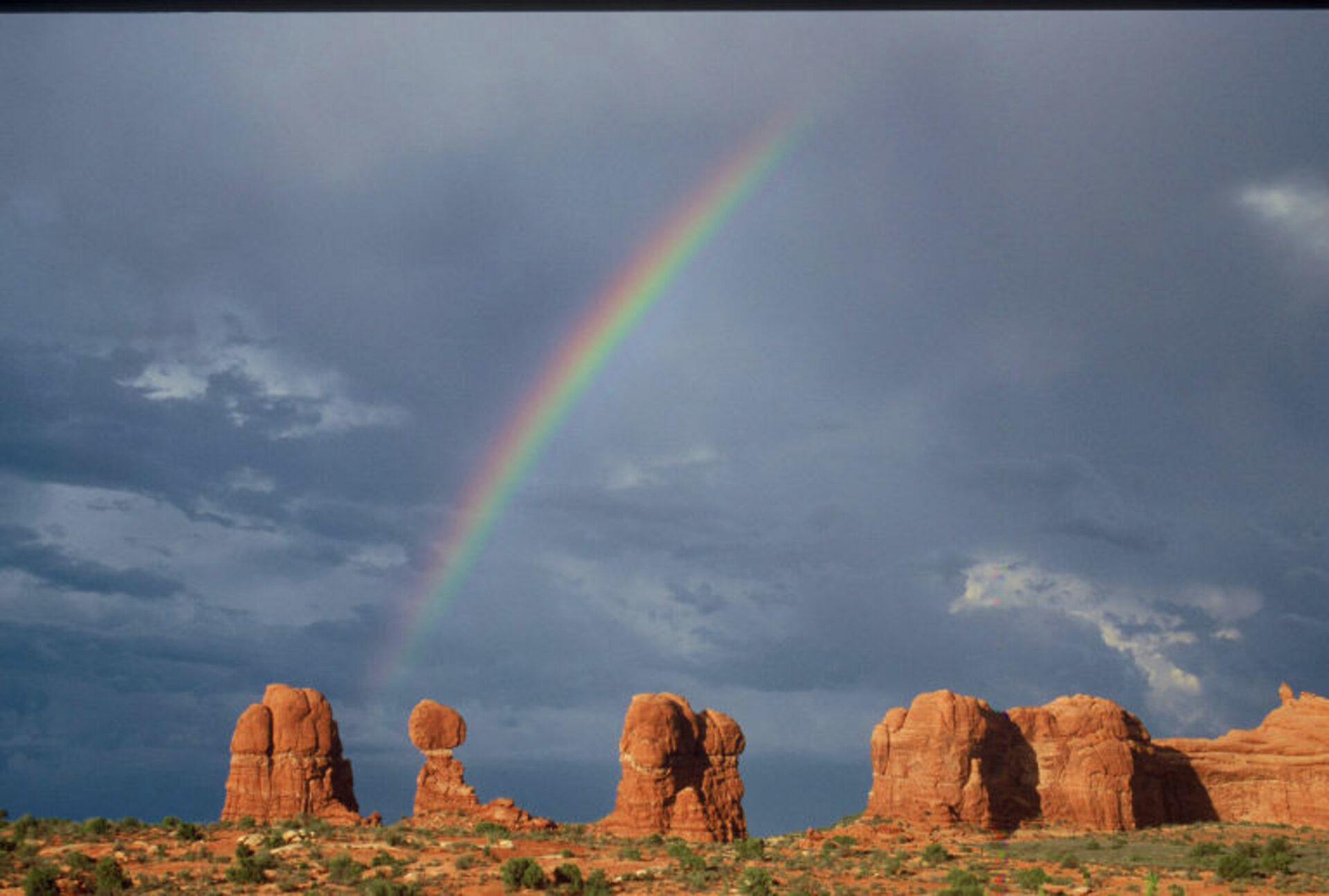 After a summer thunder shower at Arches National Park in Utah. Nature's gift! Submitted by: Leslie Scopes Anderson