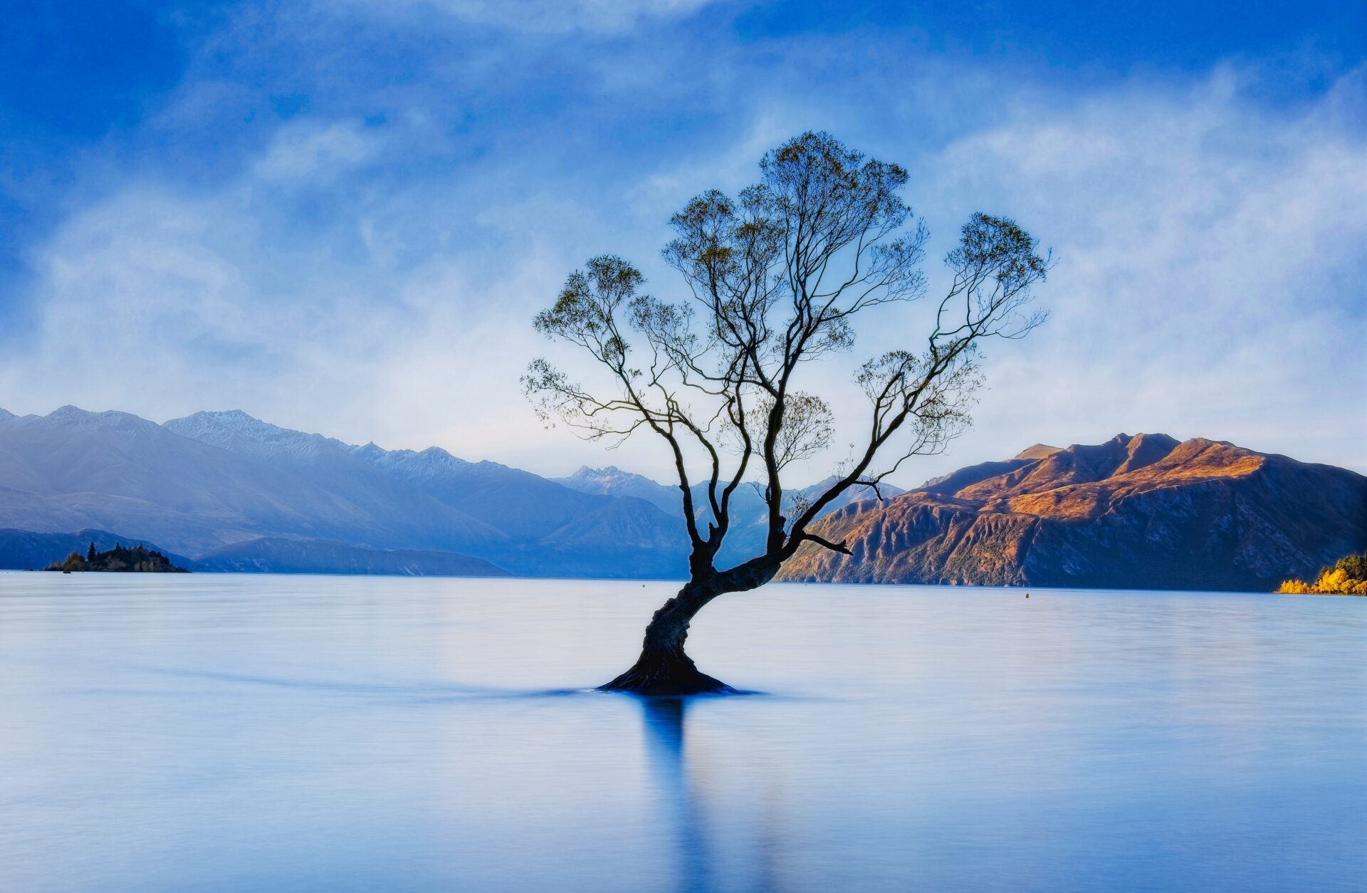 Illuminated mountains with That Wānaka Tree in Lake Wānaka. Submitted by: Paul Wilson