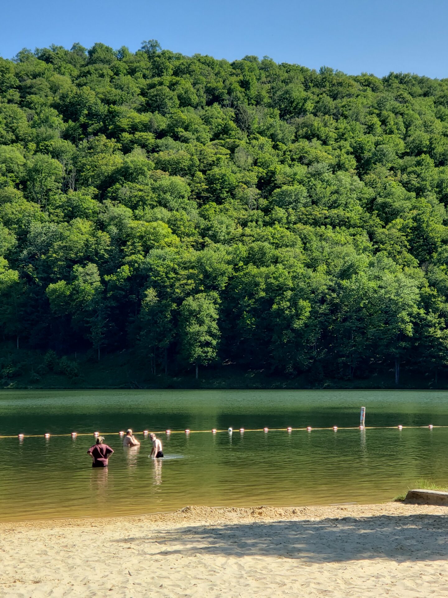 A summer day at a mountain lake in Cherry Springs, Pennsylvania. Submitted by: Scott Baugher