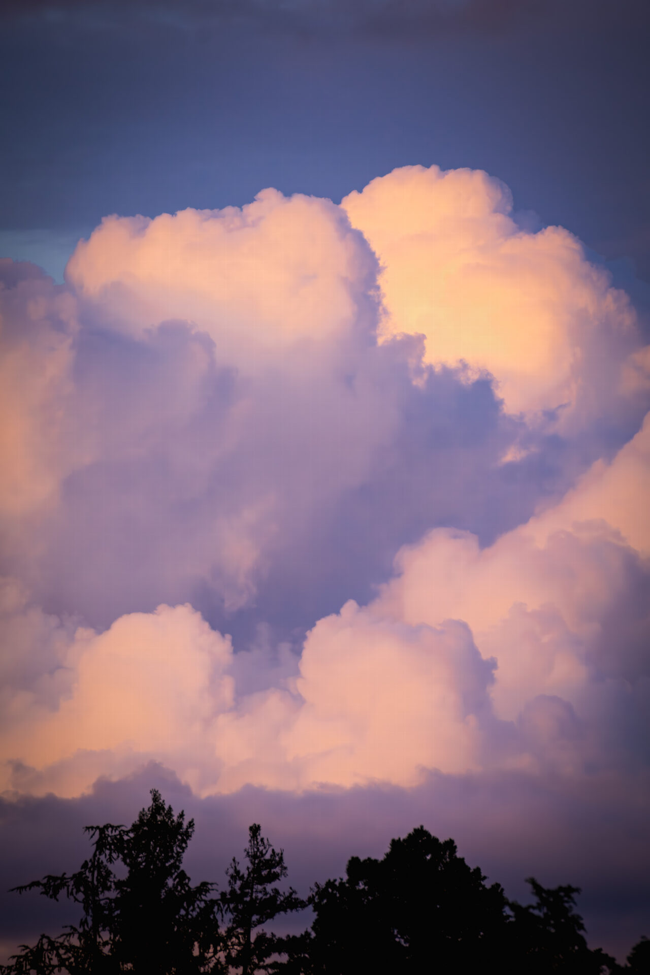 Setting sun illuminates cumulonimbus clouds across San Francisco Bay. Submitted by: Steve Harris