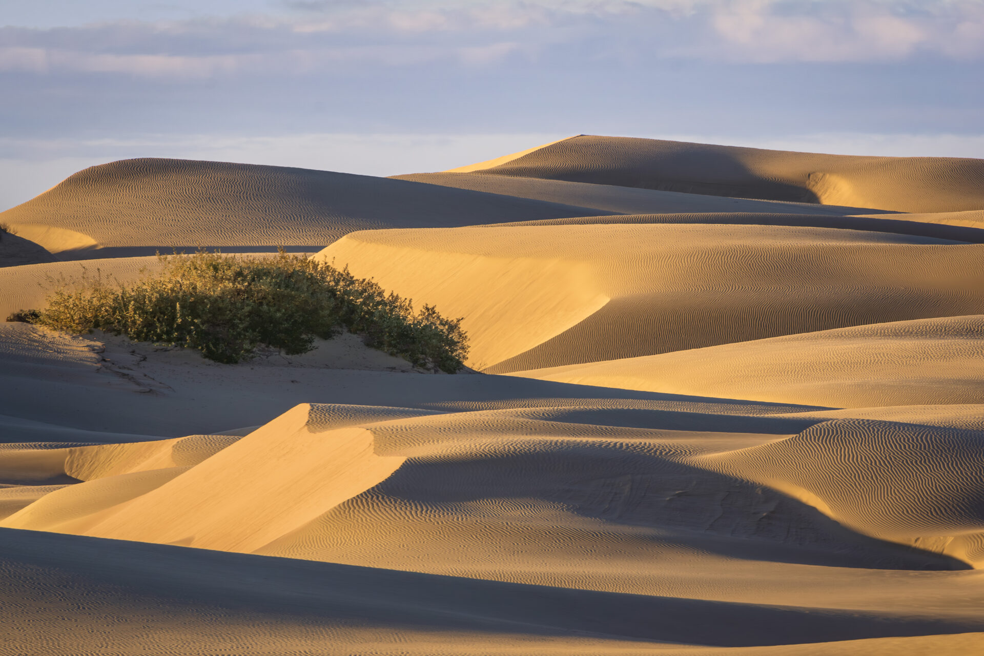 Oceano Dunes, San Luis Obispo, California, USA. Submitted by: Steve Harris