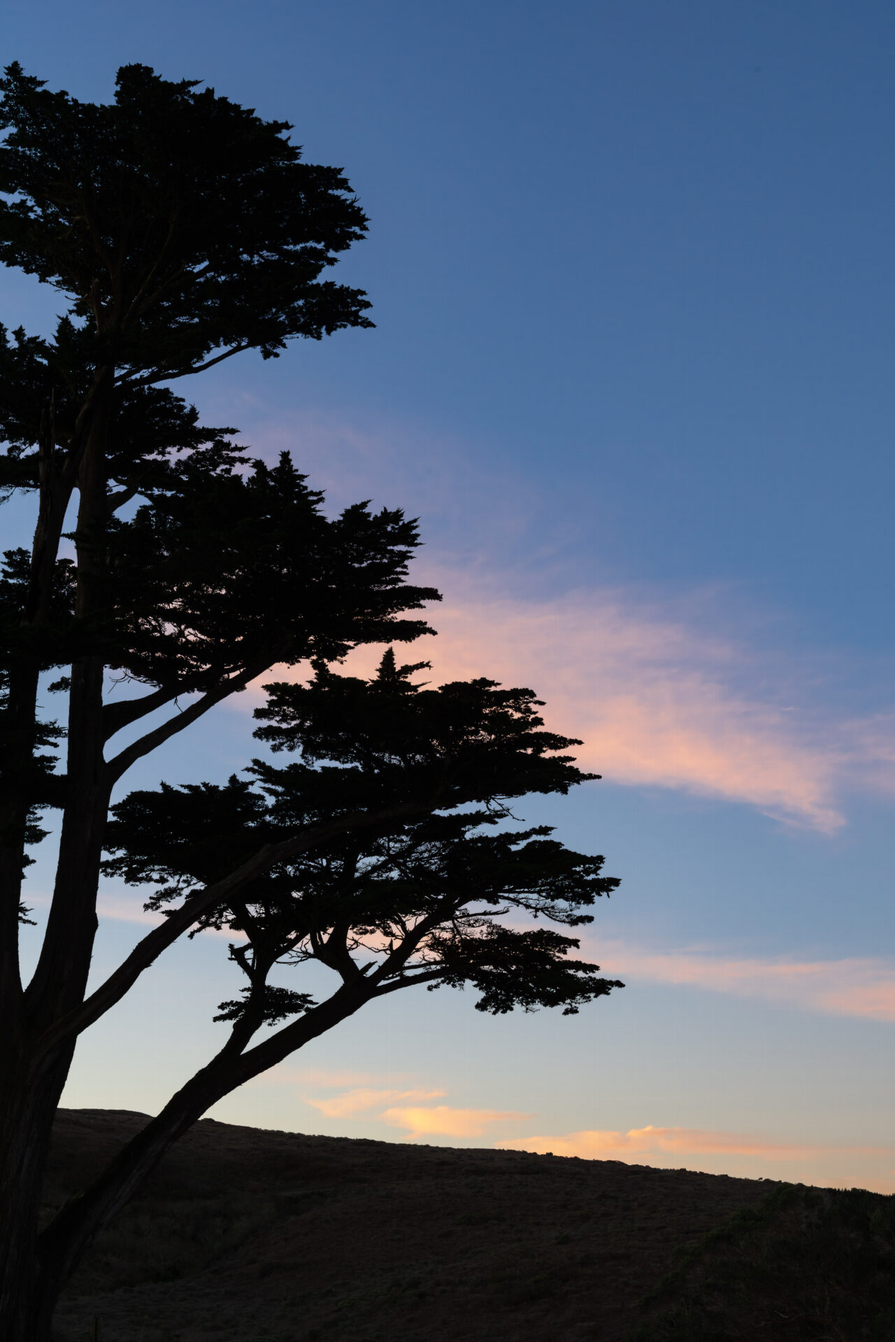 Dawn at Pierce Point Ranch, Point Reyes. Submitted by: Steve Harris