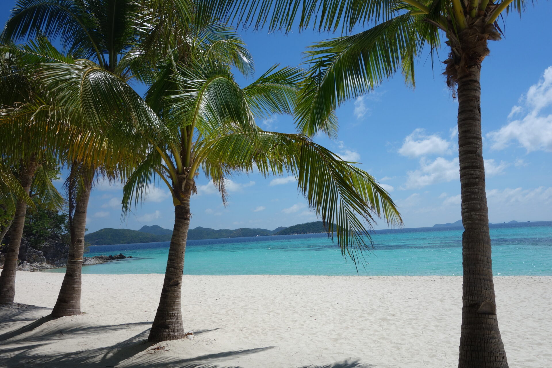 Tranquility among palms, beach, and ocean on Malcapuya Island, Philippines. Submitted by: Wendy Dodek
