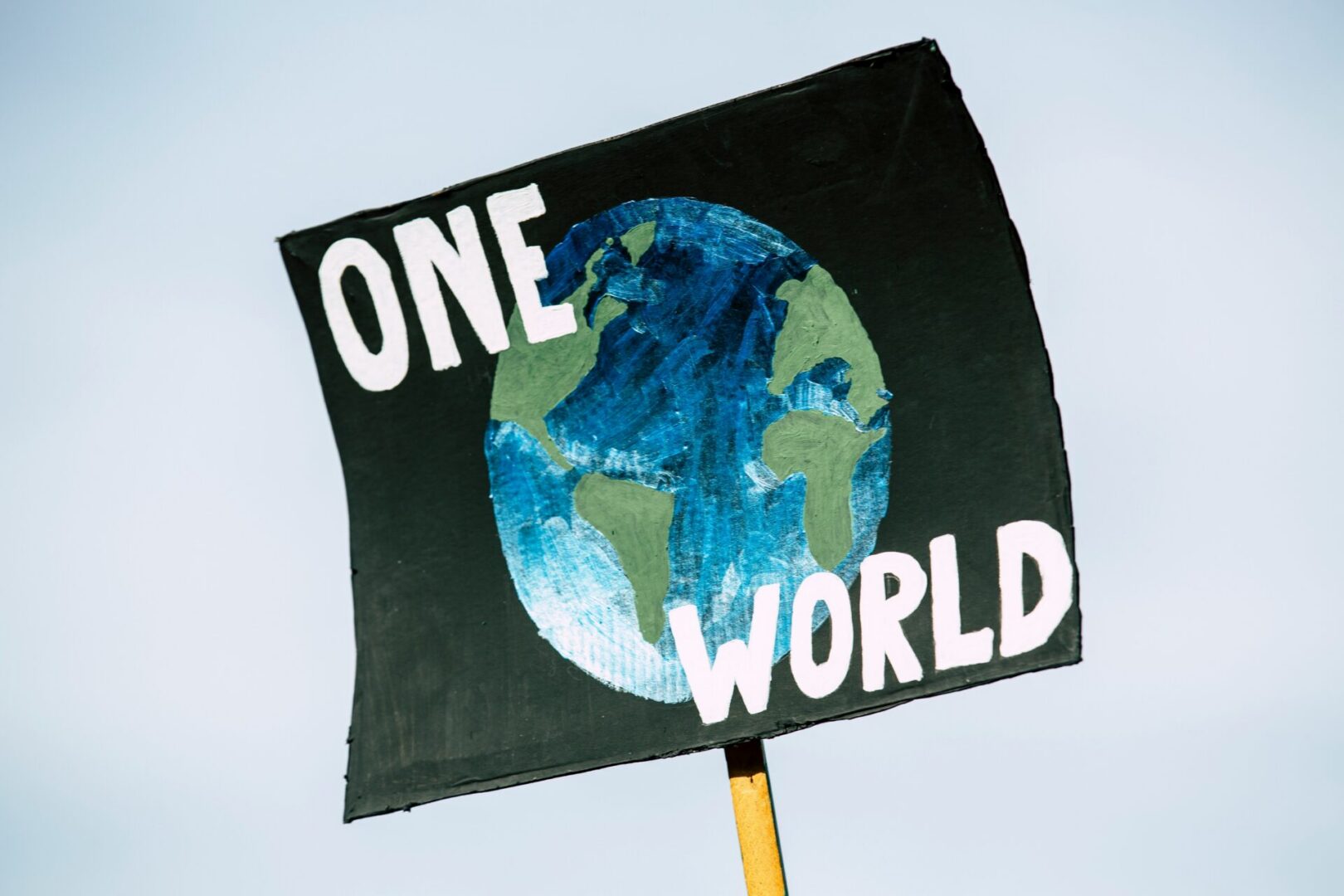 Protest sign of earth with the phrase 