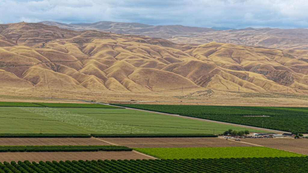 photo of green crops in the foreground with dry, brown hills in the background