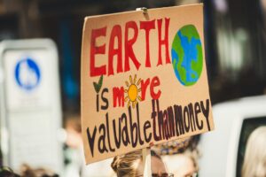 A painted placard that says "Earth is more valuable than money" at a demonstration in Germany